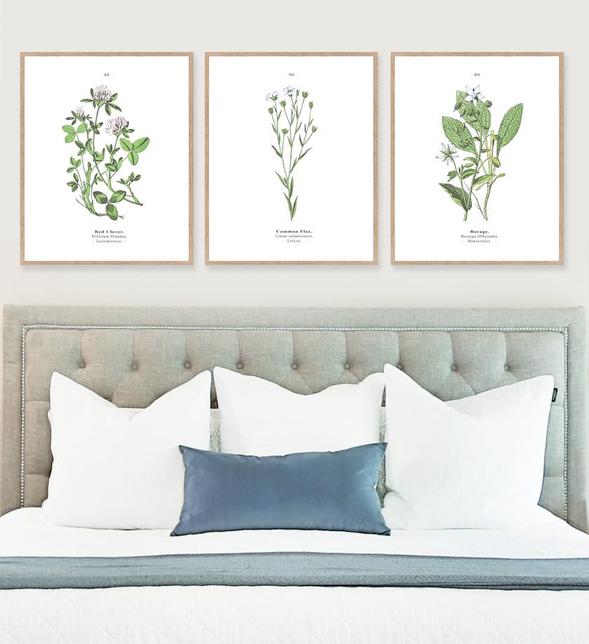 artwork-above-the-bed-gallery-wall-botanicals