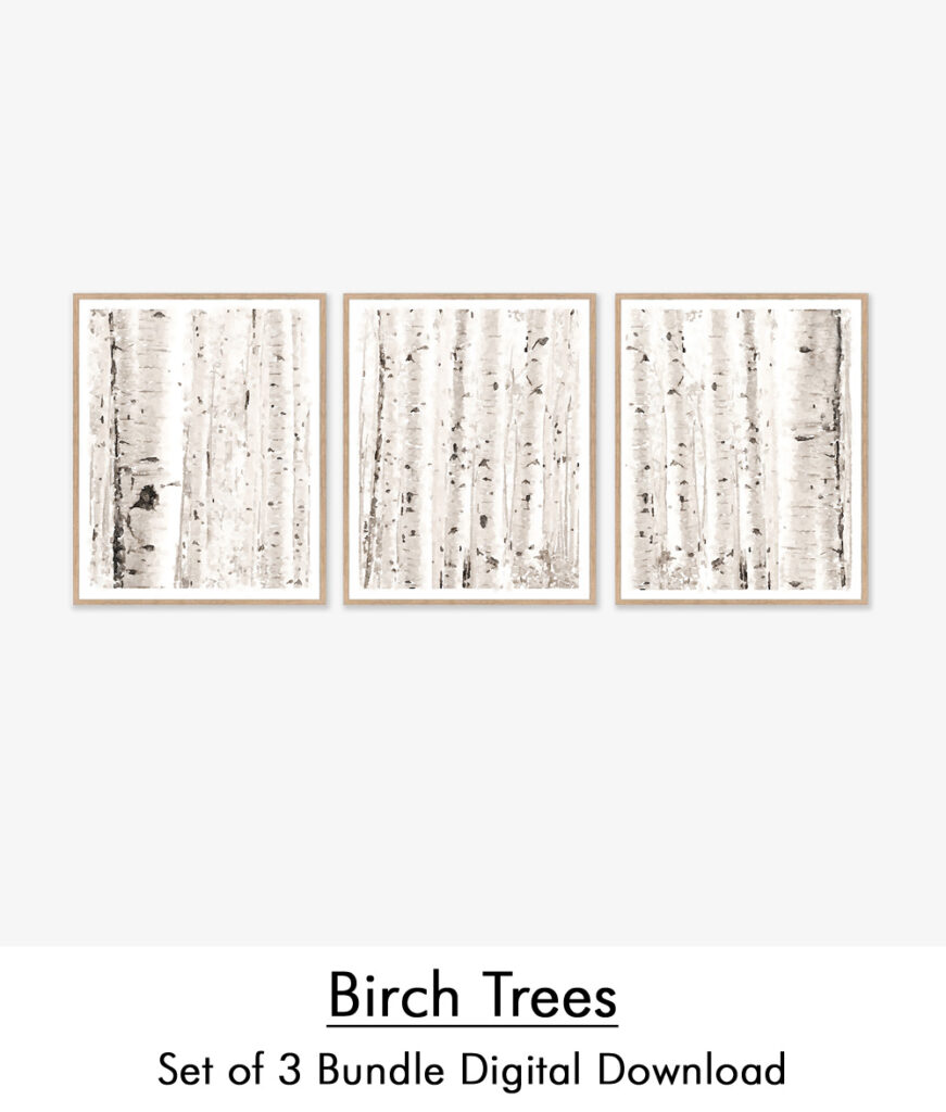 birch trees etsy_text